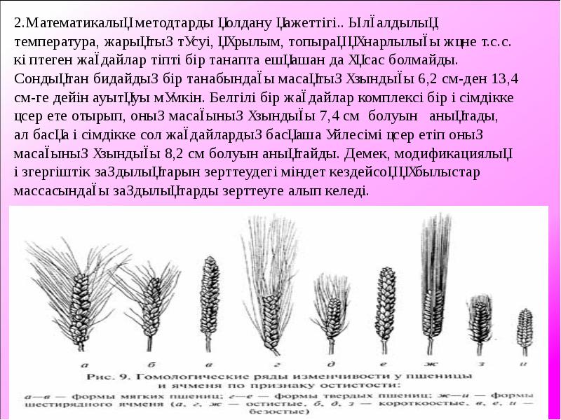 Модификациялық өзгергіштік презентация