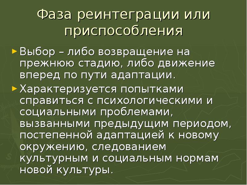 Реинтеграция это. Адаптация АККУЛЬТУРАЦИЯ приспособление. Феномен культурной адаптации аккультурации и её основных формах. Социальная реинтеграция это. Явление адаптации характеризуются.