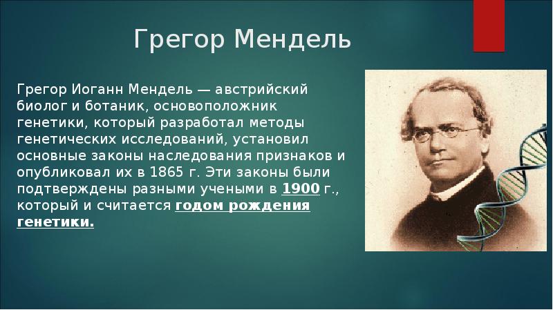 Презентация на тему генетика как наука - 89 фото