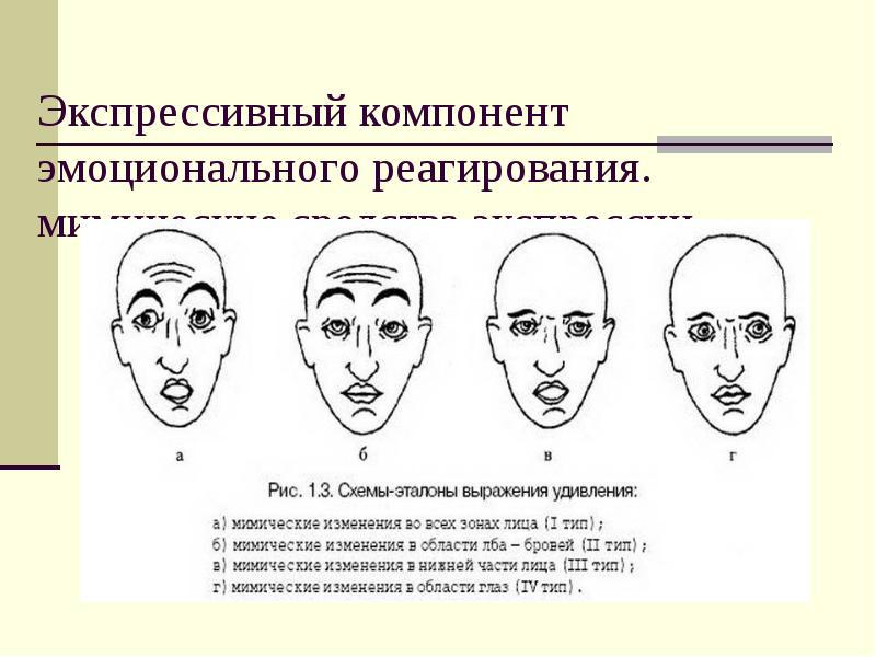 В схеме описания мимических признаков эмоциональных состояний отсутствует следующий элемент лица