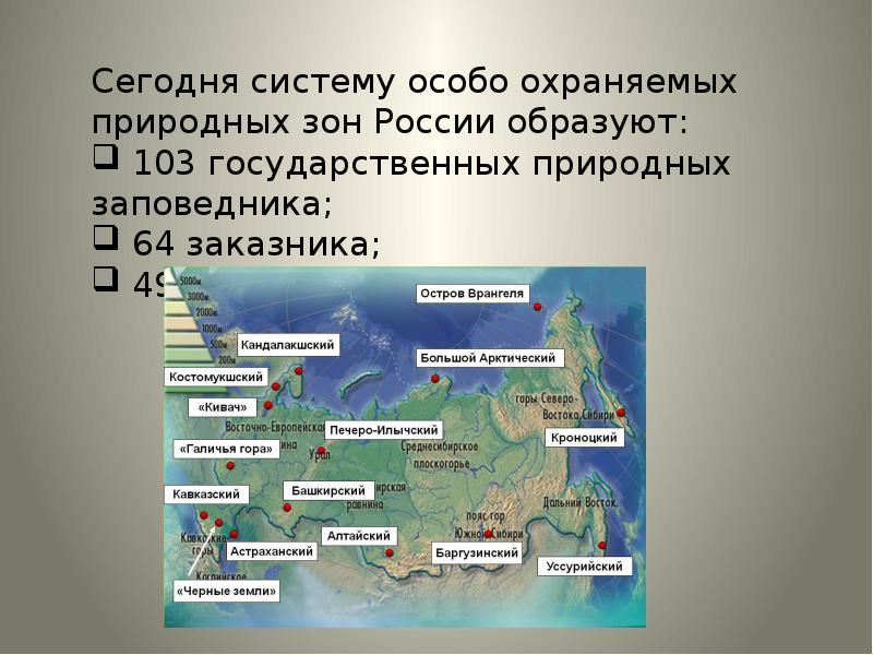 Дом под крышей голубой презентация