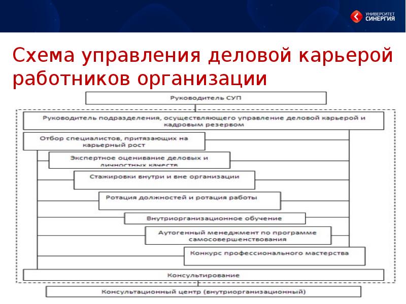 Система управления карьерой. Задачи управления деловой карьерой. Этапы управления деловой карьерой. Механизмы управления деловой карьерой. Система управления деловой карьерой персонала.