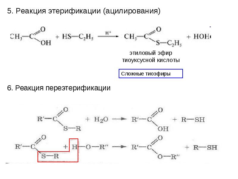 Напишите схему реакции образования этилацетата - 86 фото