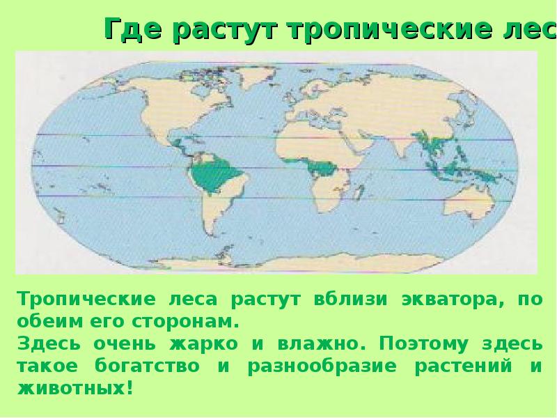 Тропики находятся