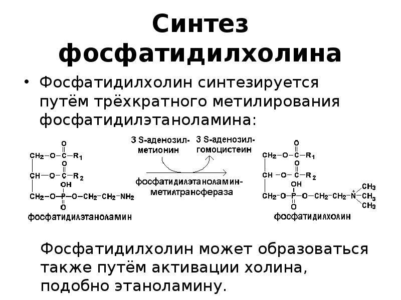 Схему реакции превращения фосфатидилсерина в фосфатидилэтаноламин