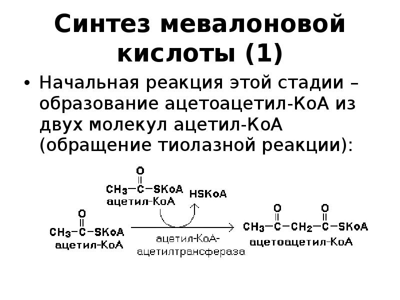 Реакция синтеза. Синтез мевалоновой кислоты. Биосинтез мевалоновой кислоты (1 этап синтеза холестерина). Синтез мевалоновой кислоты холестерола. Реакции синтеза мевалоновой кислоты.