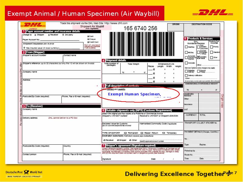 Exempt Animal / Human Specimen (Air Waybill) Exempt Animal / Human Specimen (Air Waybill)