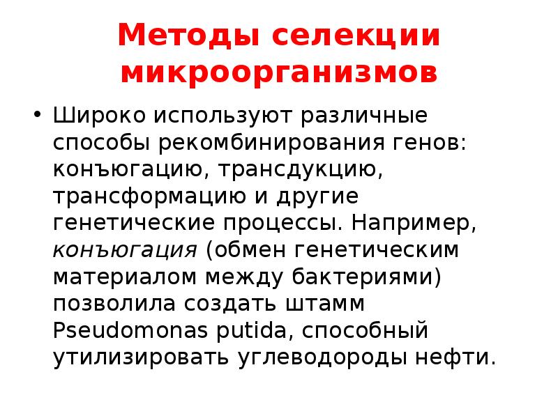 Селекция микроорганизмов проект