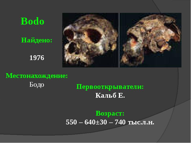 Презентация гейдельбергский человек