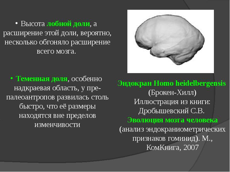 Презентация гейдельбергский человек