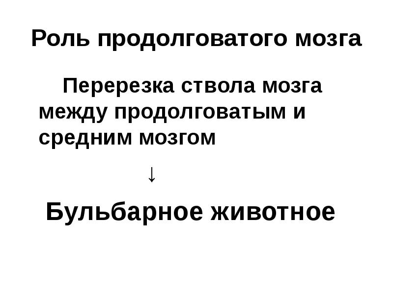 Эксперимент перерезки спинного мозга. Структура дыхательного центра. Вентральная группа дыхательных нейронов. Перерезка продолговатого мозга дыхание. Дыхание при перерезке спинного мозга.