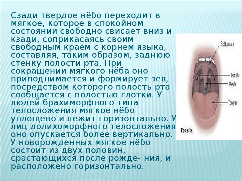 Стенки неба распылять где