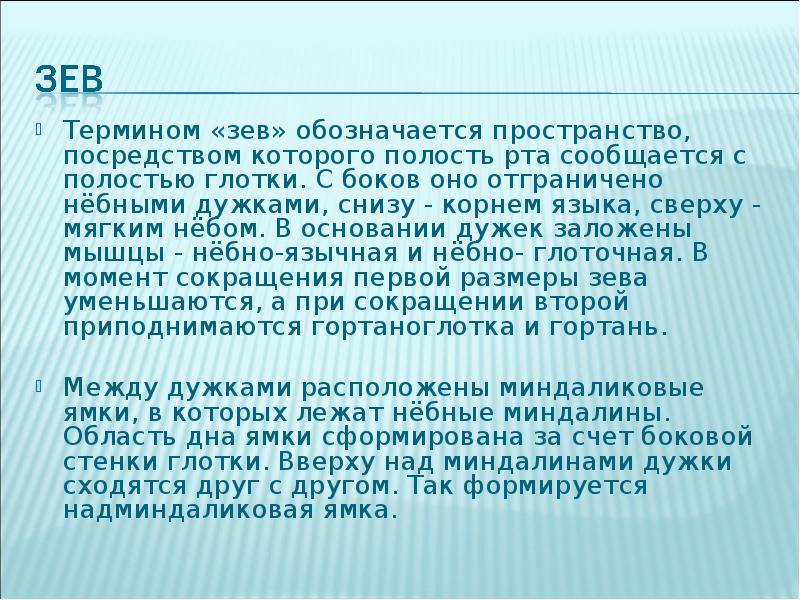 Обозначают пространство. Что такое зев, обозначьте его топографию?. Что обозначает Арашева зева.