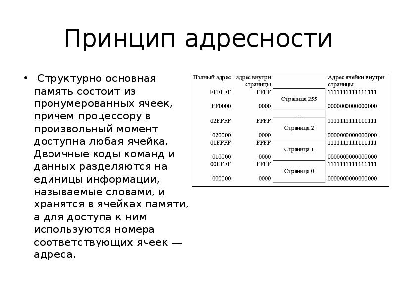 Ячейка памяти компьютера состоит. Принцип адресности памяти. Принципа адресности компьютера. Принципы однородности памяти и адресности. Принцип однородности и адресности памяти компьютера.