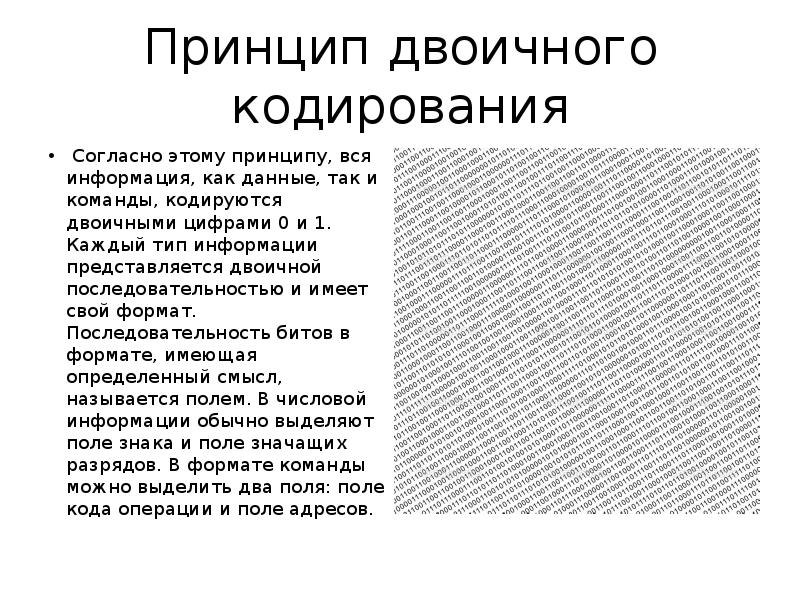 Согласно принципу. Согласно принципу двоичного кодирования. Согласно принципу двоичного кодирования любая информация. Суть принципа двоичного кодирования. Принцип двоичного кодирования ЭВМ.