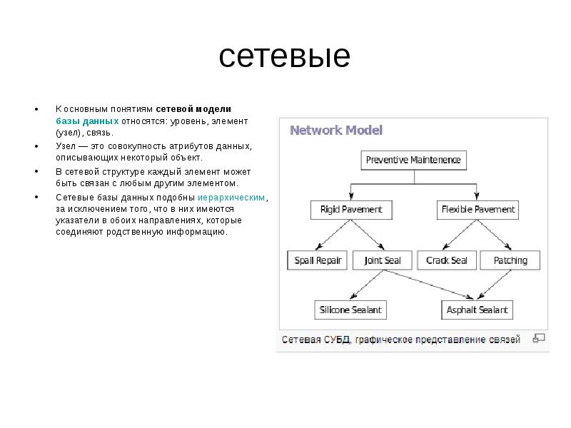 Сетевая модель данных основные понятия графическое изображение примеры