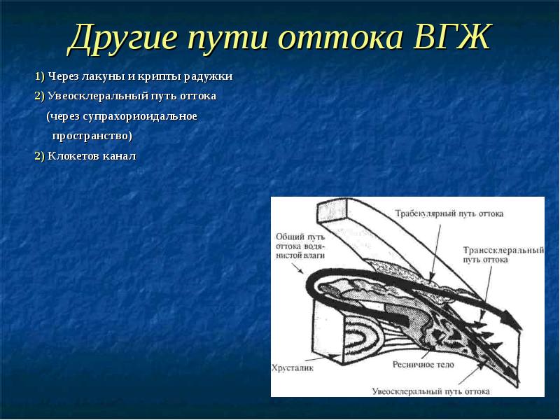 Схема оттока внутриглазной жидкости