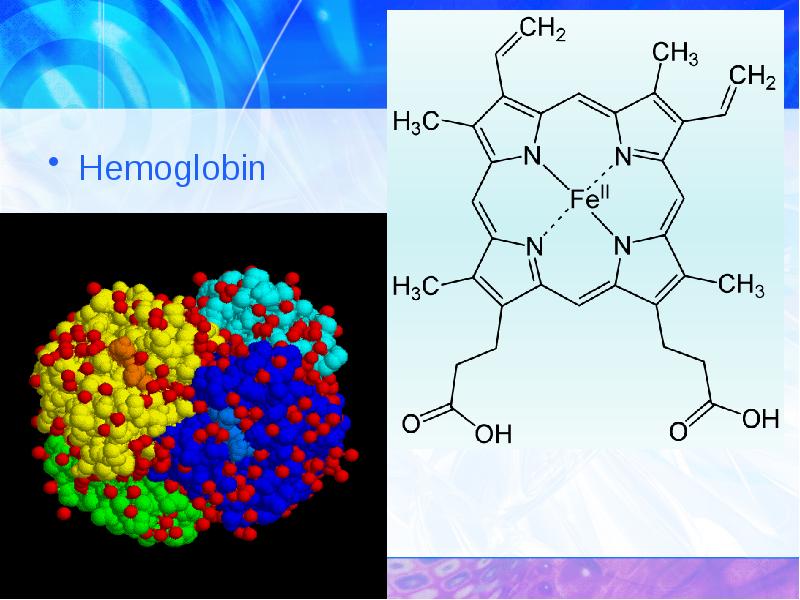 Hemoglobin Hemoglobin