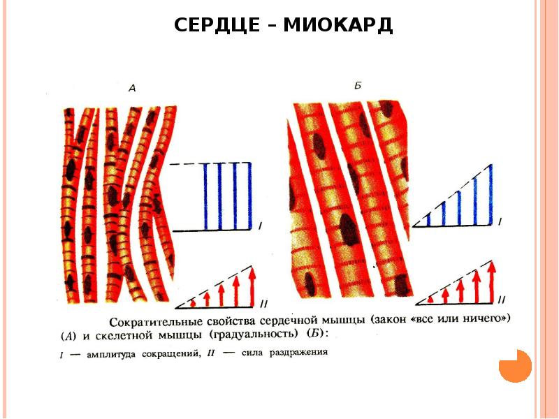 Все или ничего схема