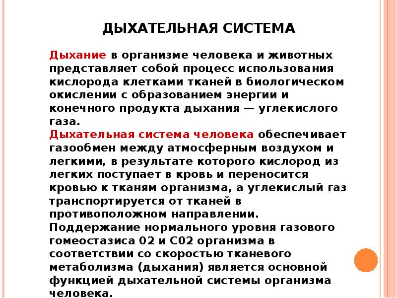 Особенности организма. 2. Функции дыхательной системы.. Главная функция дыхательной системы - это. Основные функции дыхания. Функциональные особенности организма.