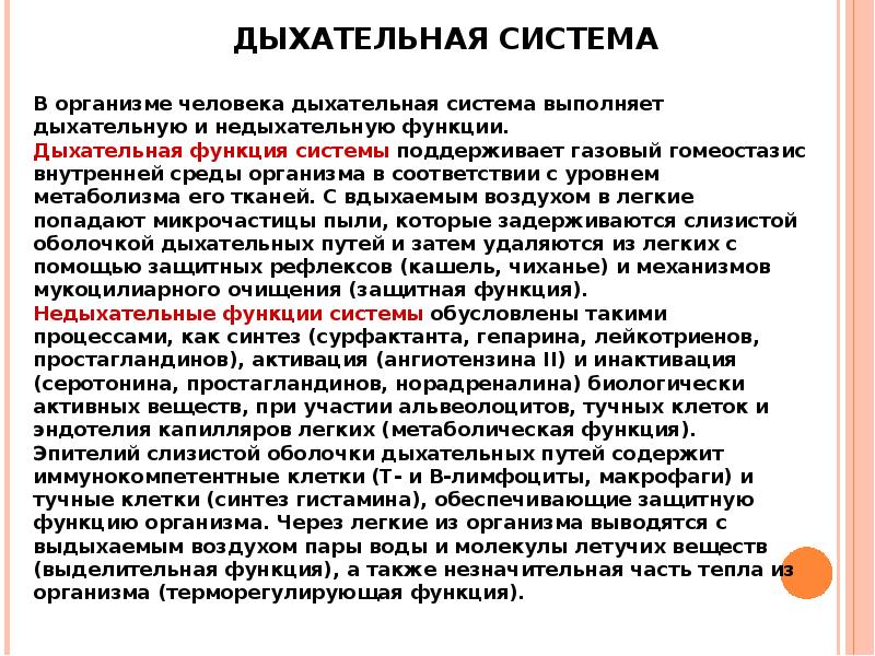 Функциональные особенности организма. Дыхательные и Недыхательные функции. Недыхательные функции легких.