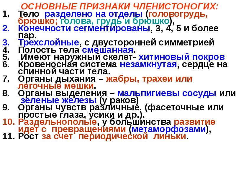 Особенности членистоногих. Основные признаки членистоногих. Общая характеристика членистоногих. Характерные признаки типа Членистоногие. Тип Членистоногие общая характеристика.