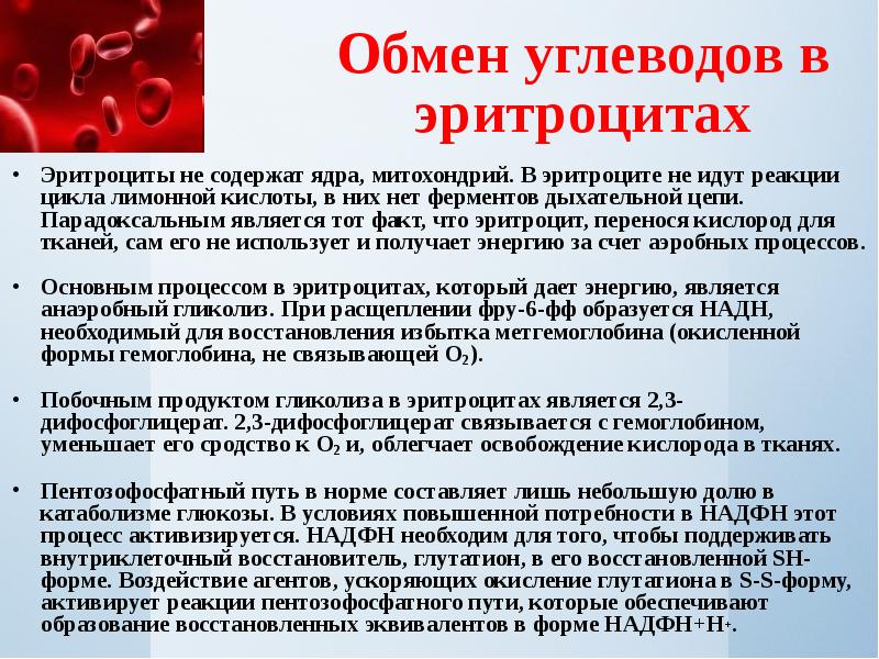 Характеристика эритроцитов. Обмен углеводов в эритроцитах. Особенности углеводного обмена в эритроцитах. Гликолиз в эритроцитах. Обмен эритроцитов.