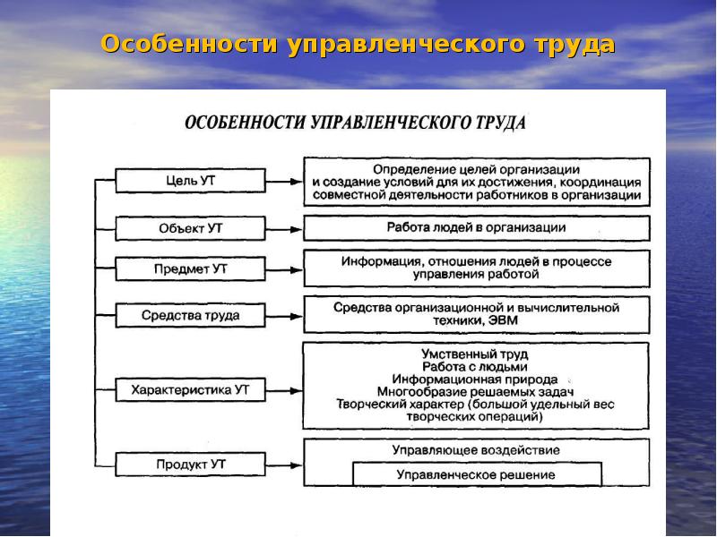 Управленческие роли