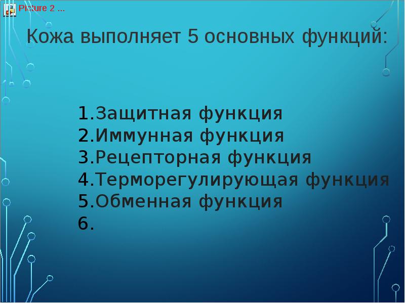 Кожа выполняет функцию с помощью