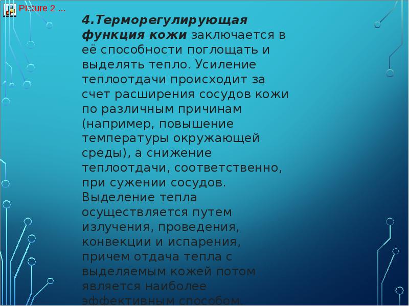 терморегулирующая функция кожи. терморегулирующая функция кожи. функция кожи:защитная, терморегулирующая. терморегулирующая функция. терморегулирующая функция кожи.