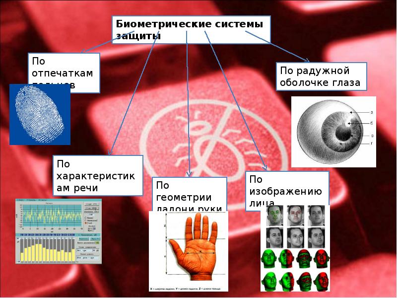 К биометрической системе защиты относятся. Биометрические характеристики. Биометрические системы защиты примеры. Биометрические системы защиты по радужной оболочке. К биометрической системе относятся.