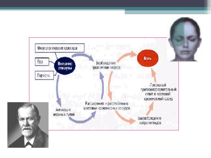 Презентация про боль головную