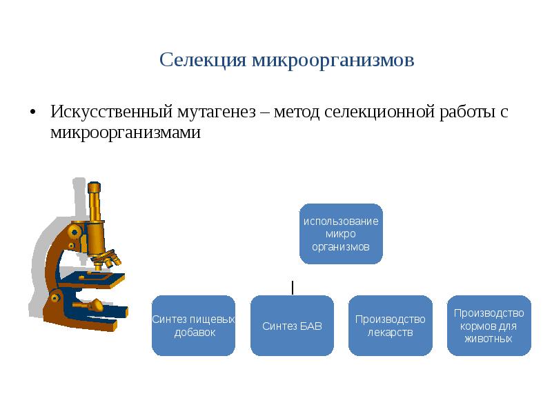 Искусственный мутагенез презентация