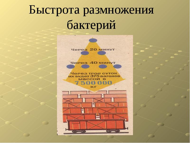 Презентация прогрессии в нашей жизни