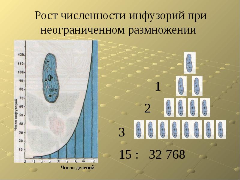 Презентация прогрессии в нашей жизни