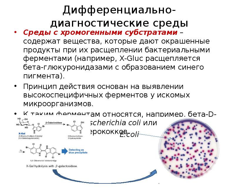 Диагностика среды