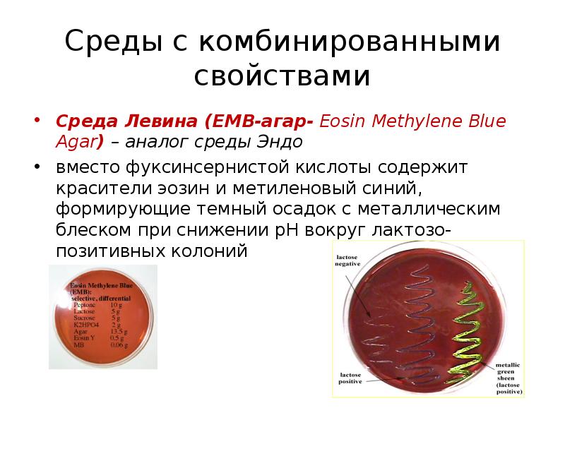 Среда левина грм