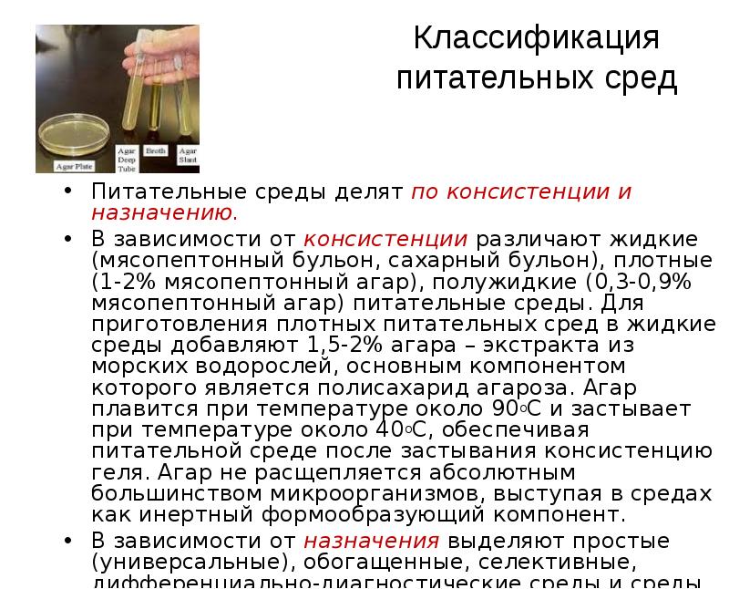 Питательный бульон для культивирования микроорганизмов гмф-бульон