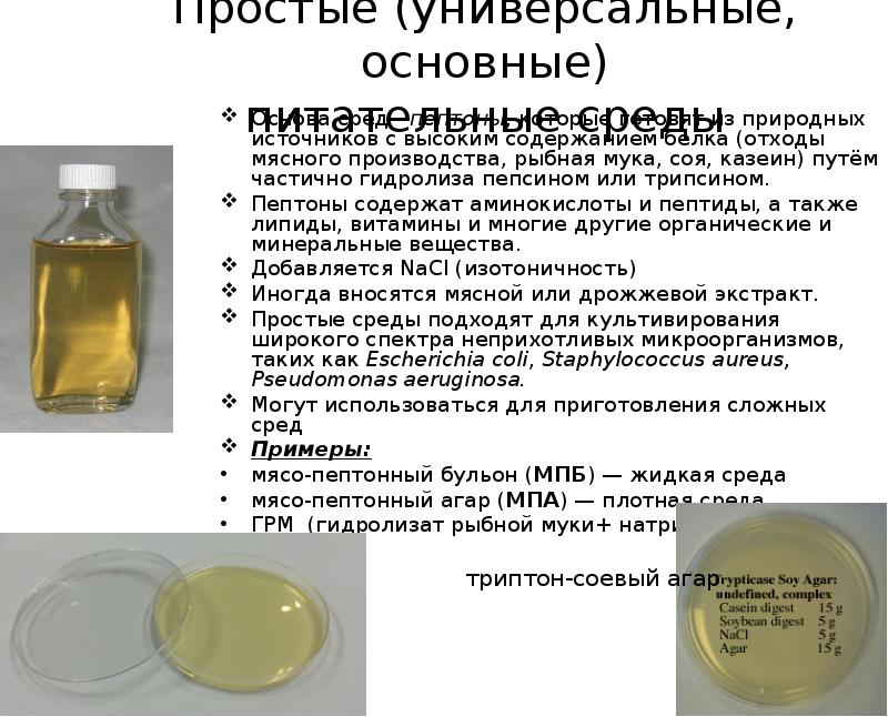 Мясной бульон как питательная среда