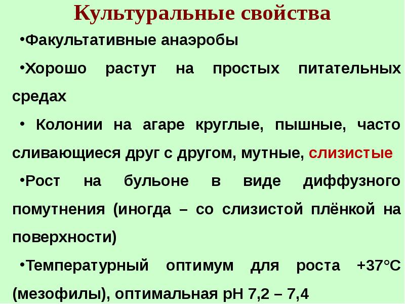 Факультативные свойства. Необязательные характеристики. Клебсиеллы культуральные свойства. Туберкулез культуральные свойства микробиология. Факультативные свойства.