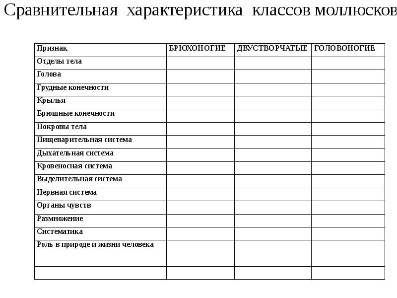 Характеристика класса моллюсков биология 7 класс таблица. Сравнительная характеристика классов типа моллюски таблица 7. Сравнительная характеристика классов моллюсков таблица 7 класс. Сравнительная характеристика представителей типа моллюски таблица. Таблица сравнение брюхоногих двустворчатых и головоногих.