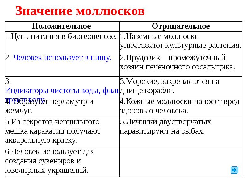 Моллюски значение в природе и жизни человека