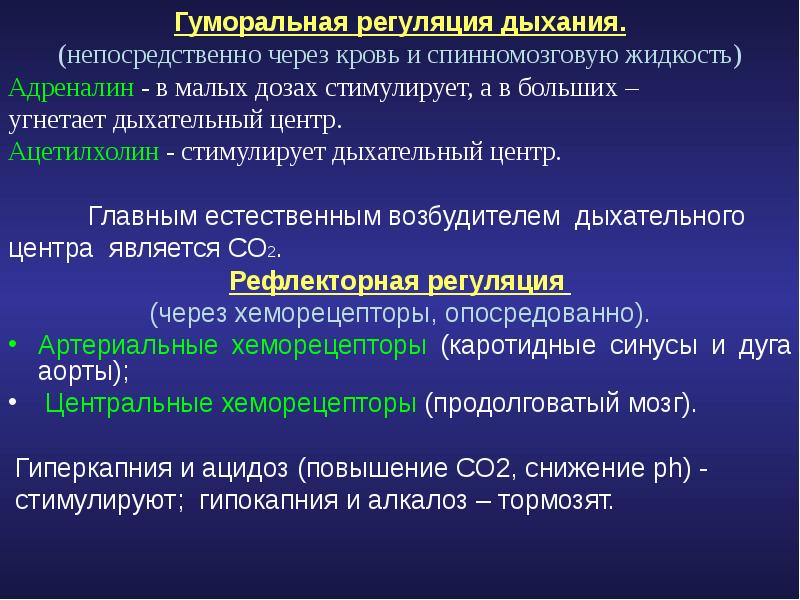 Онтогенез дыхательной системы презентация