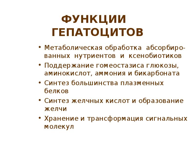 Функции нутриентов. Бикарбонаты в желудке функция. Пищеварительная функция печени.