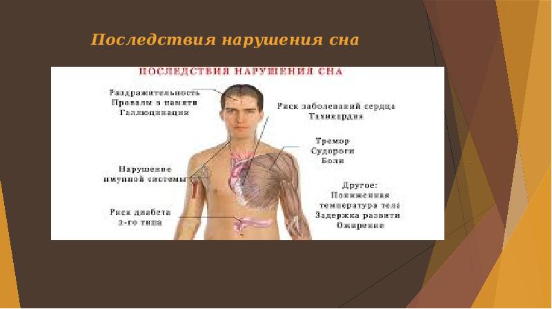 Презентация на тему сон и его значение