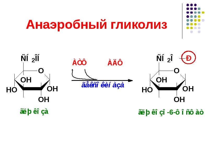 Анаэробный гликолиз