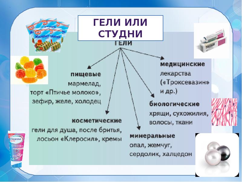 Презентация гели и студни