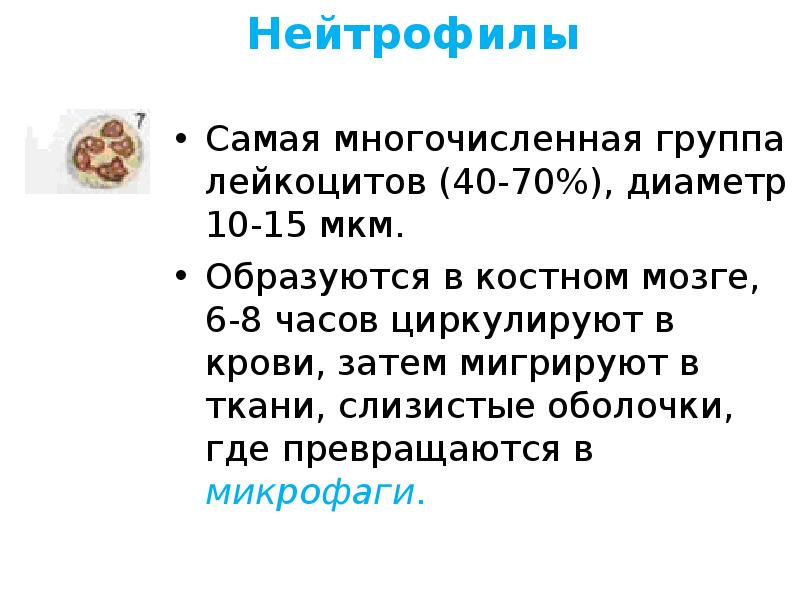 Насекомые самый крупный по числу видов класс. Самая многочисленная группа животных на земле 3 класс окружающий мир. Закончи предложение насекомые это животные у которых. Какая группа животных самая многочисленная. Многочисленная группа животных.