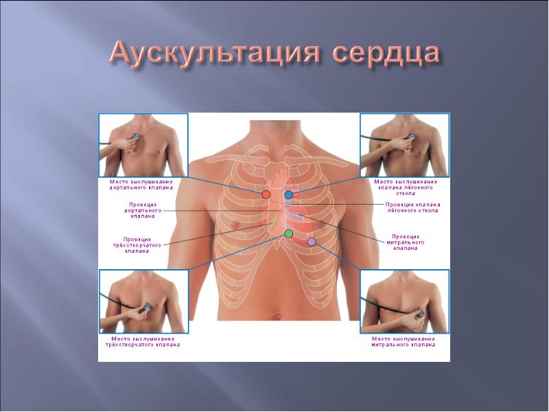 инструмент для выслушивания сердца органов. непосредственная аускультация. анатомические ориентиры для выслушивания. аускультация сердца проекция клапанов. проекции выслушивания клапанов сердца.