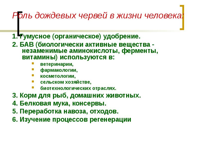 Значение дождевых червей. Роль дождевых червей в природе.